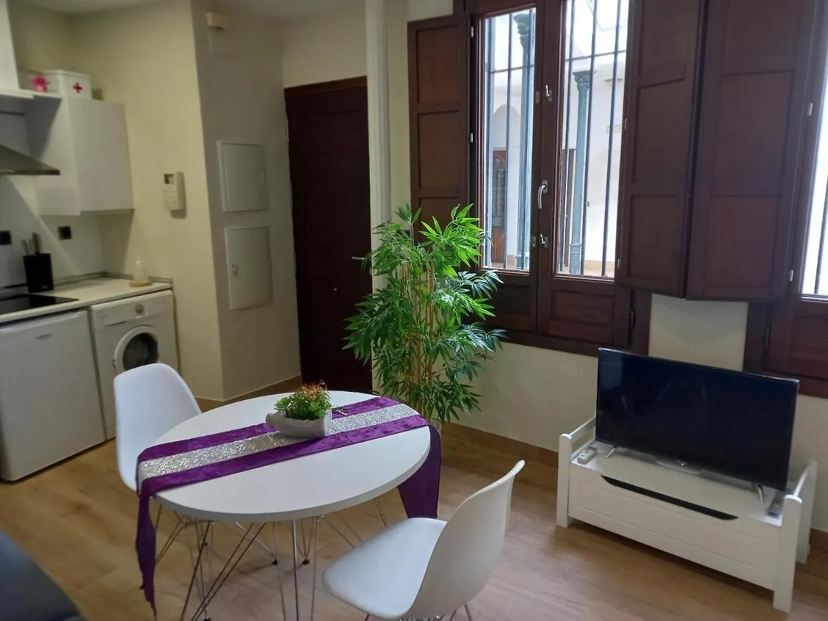 Coqueto Apartamento Centrico Cordoba