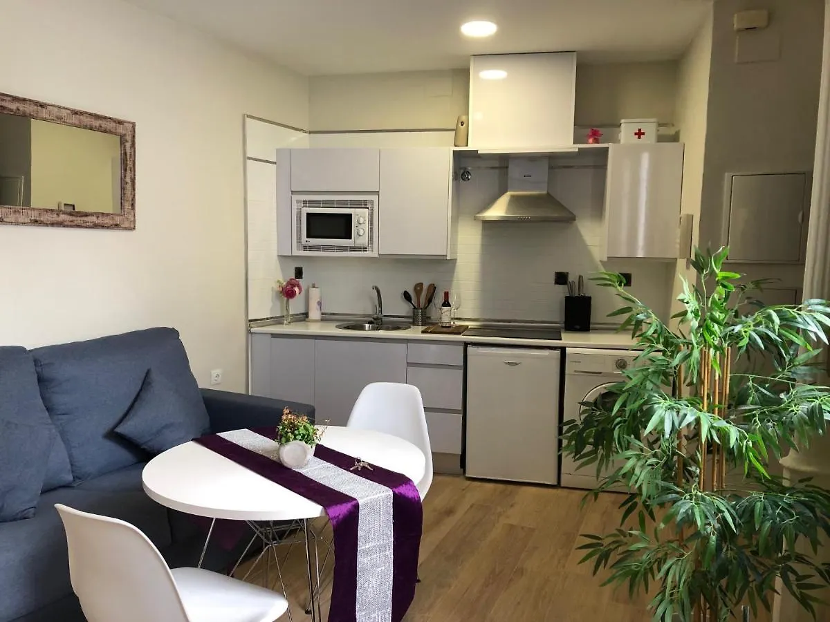 Coqueto Apartamento Centrico Cordoba Spain
